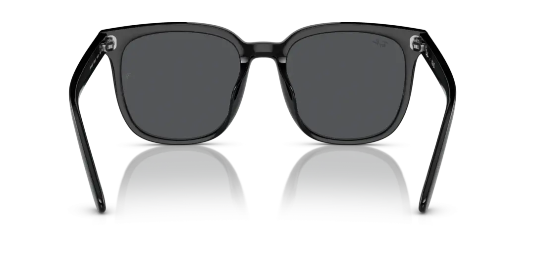 Ray-Ban 0RB4401D 601/87