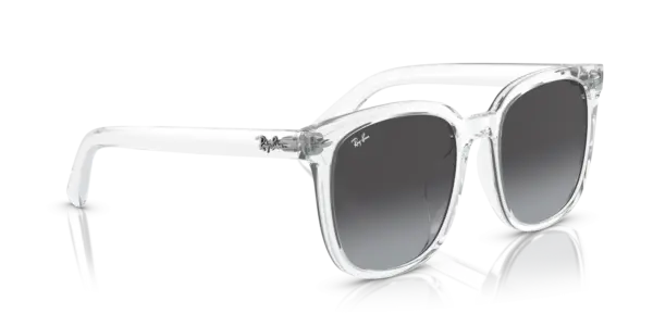 Ray-Ban 0RB4401D 64478G