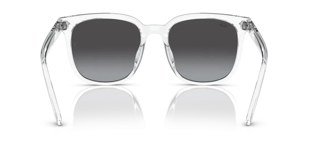 Ray-Ban 0RB4401D 64478G