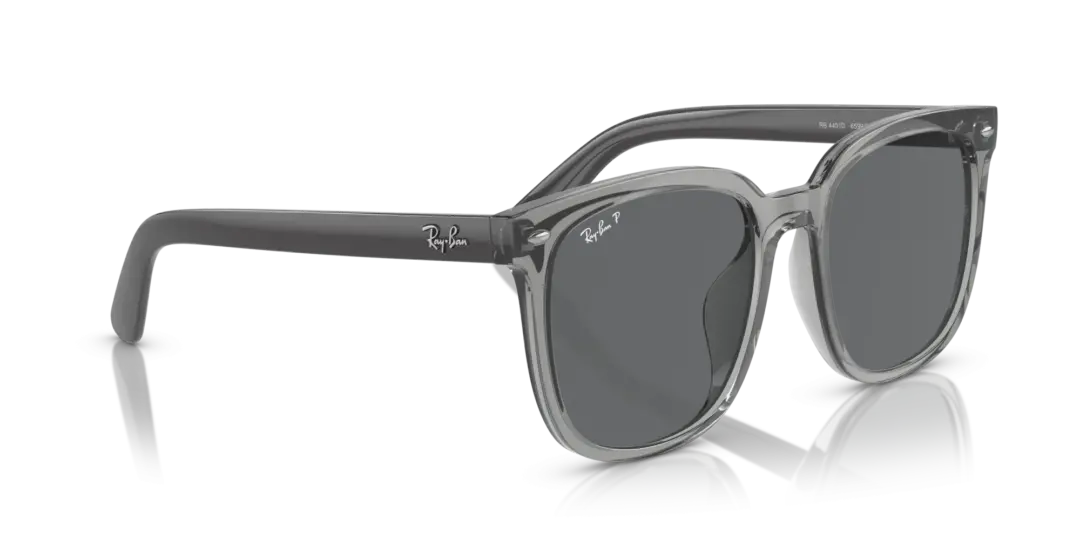 Ray-Ban 0RB4401D 659981