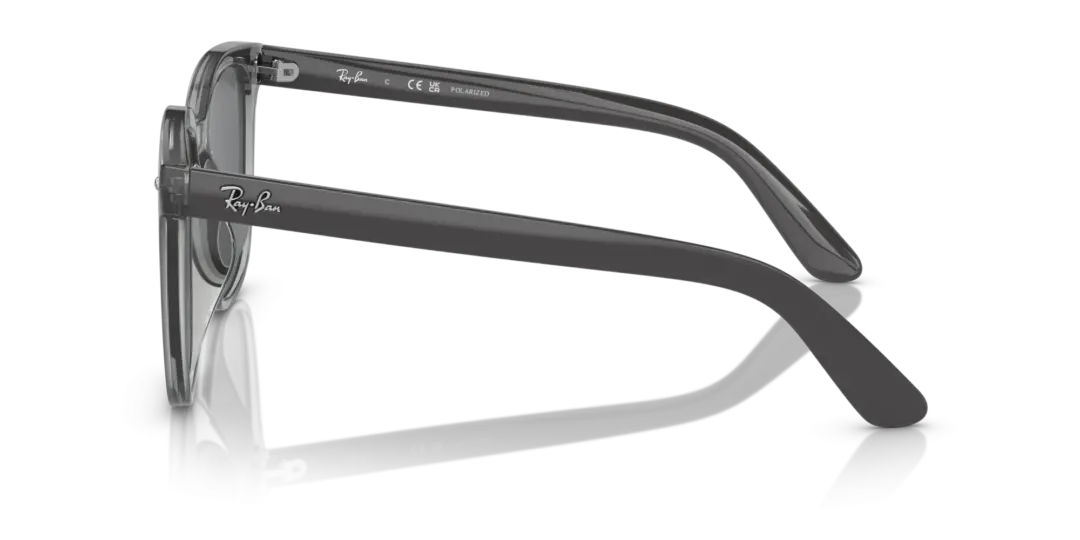 Ray-Ban 0RB4401D 659981