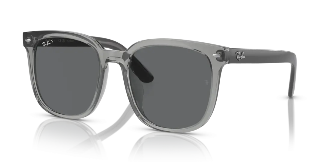 Ray-Ban 0RB4401D 659981