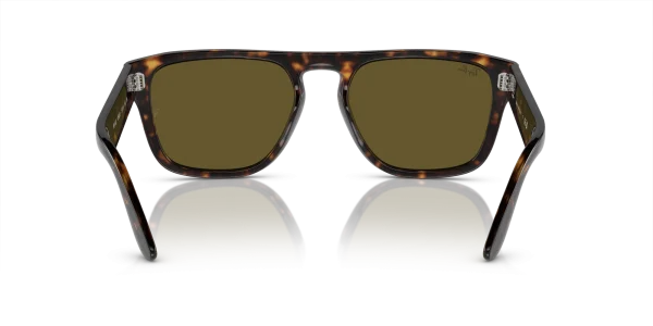 Ray-Ban 0RB4407 135973