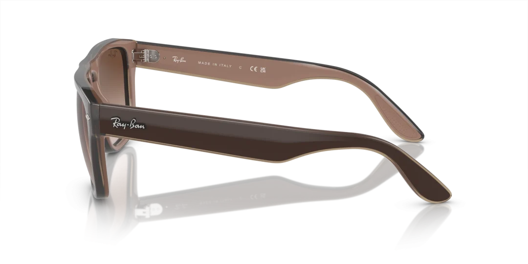 Ray-Ban 0RB4407 673113