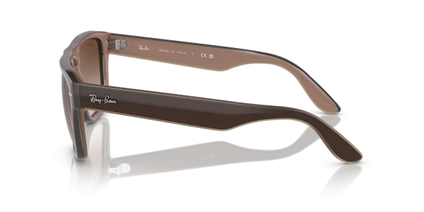 Ray-Ban 0RB4407 673113