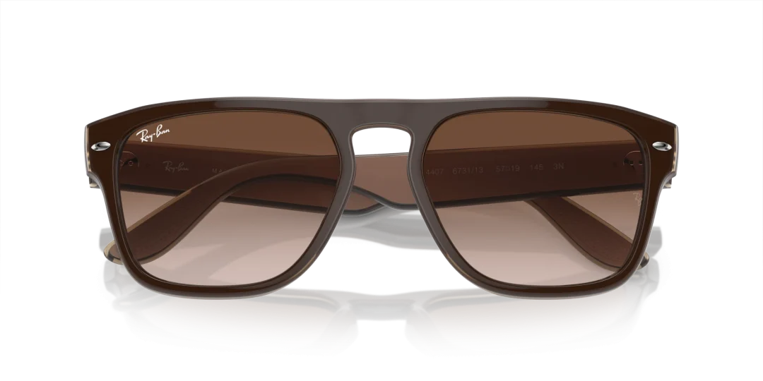 Ray-Ban 0RB4407 673113