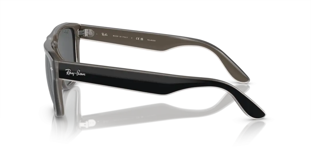 Ray-Ban 0RB4407 673381