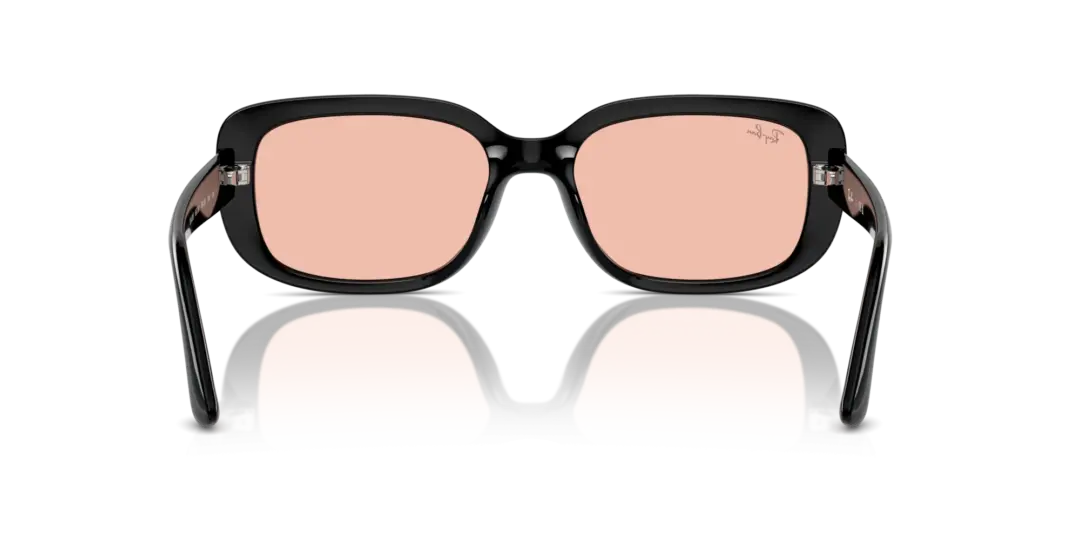 Ray-Ban 0RB4421D 667784