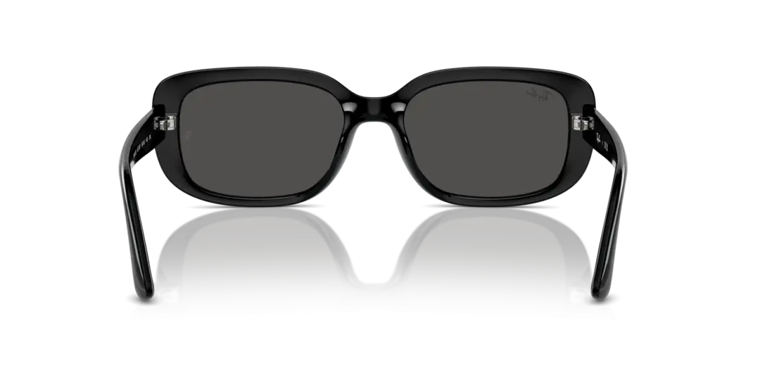 Ray-Ban 0RB4421D 667787