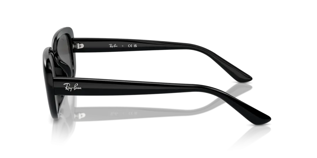 Ray-Ban 0RB4421D 667787