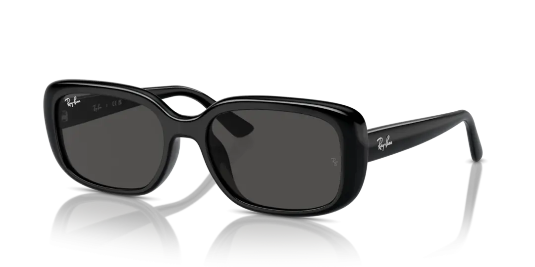 Ray-Ban 0RB4421D 667787