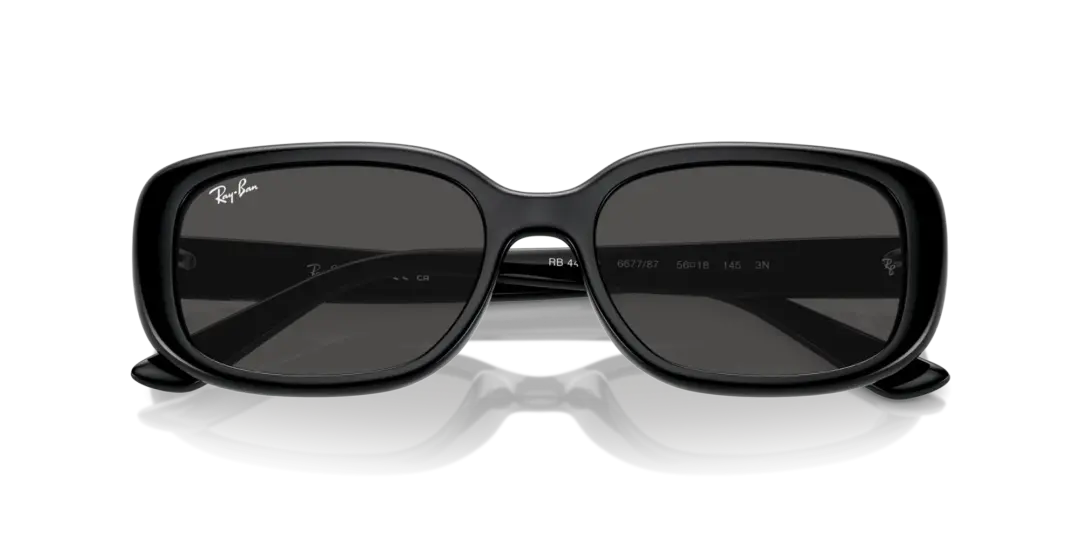 Ray-Ban 0RB4421D 667787