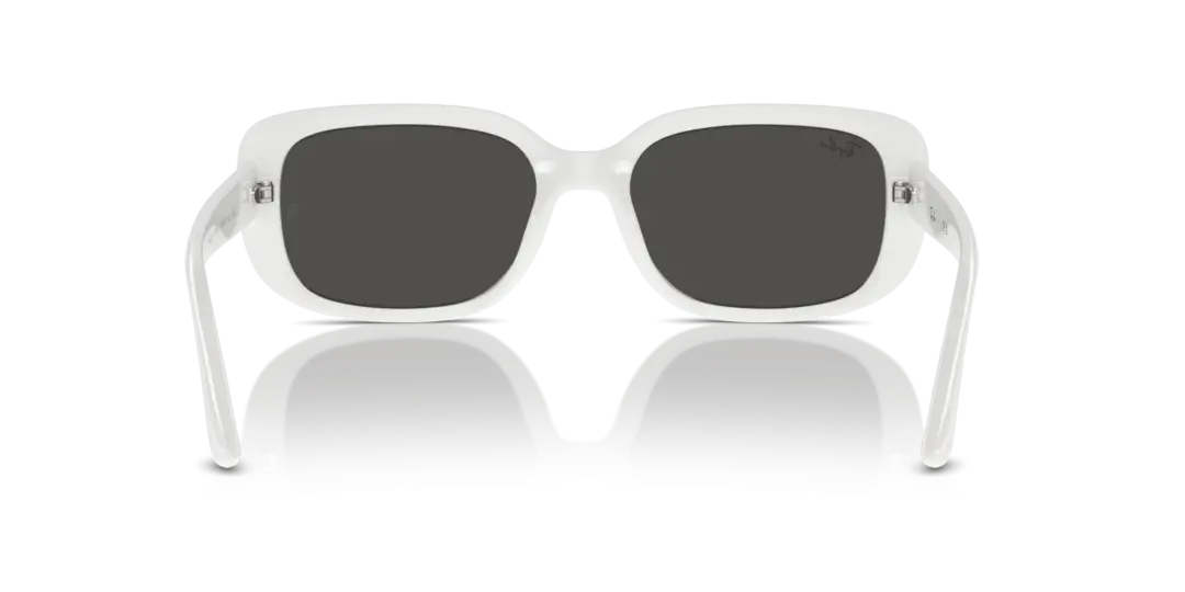 Ray-Ban 0RB4421D 677287