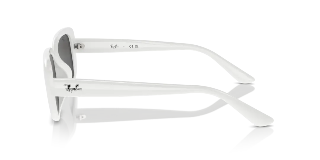 Ray-Ban 0RB4421D 677287