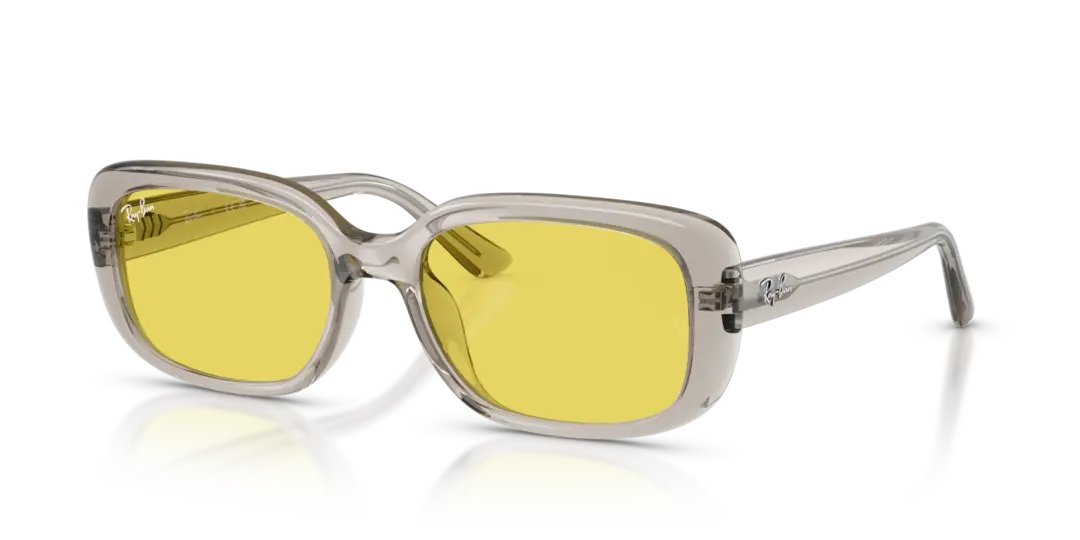 Ray-Ban 0RB4421D 681885