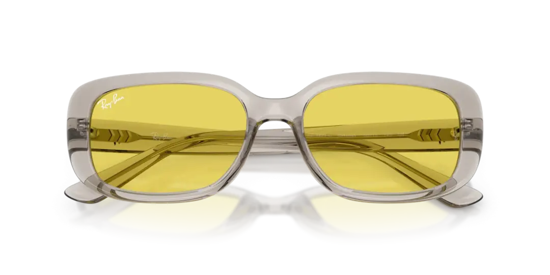 Ray-Ban 0RB4421D 681885