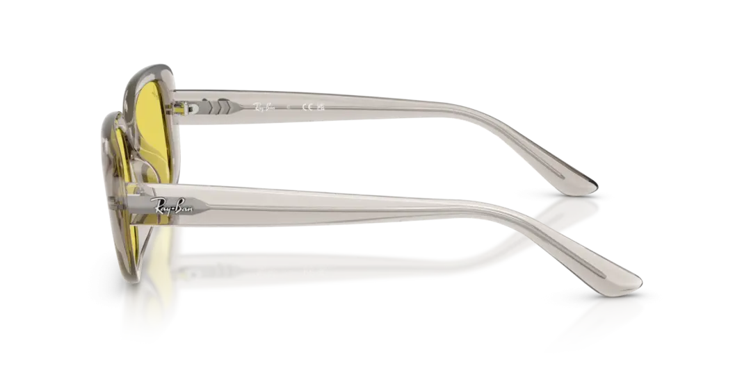 Ray-Ban 0RB4421D 681885