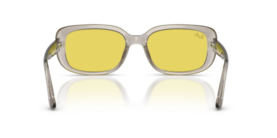 Ray-Ban 0RB4421D 681885