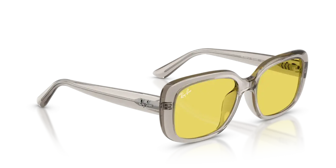 Ray-Ban 0RB4421D 681885