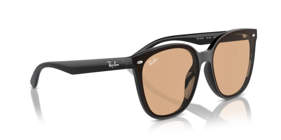 Ray-Ban 0RB4423D 601/93