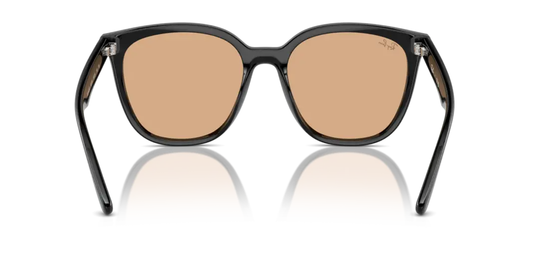 Ray-Ban 0RB4423D 601/93