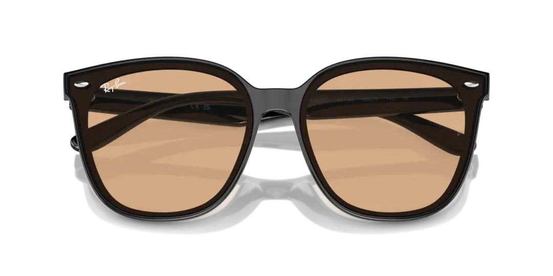 Ray-Ban 0RB4423D 601/93