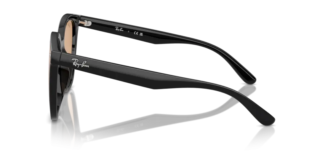 Ray-Ban 0RB4423D 601/93