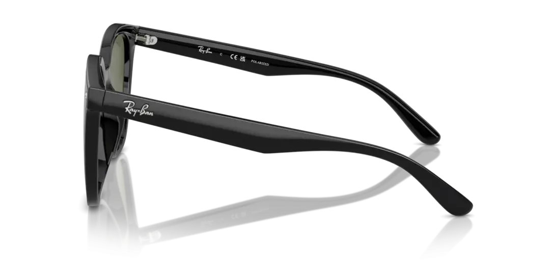 Ray-Ban 0RB4423D 601/9A