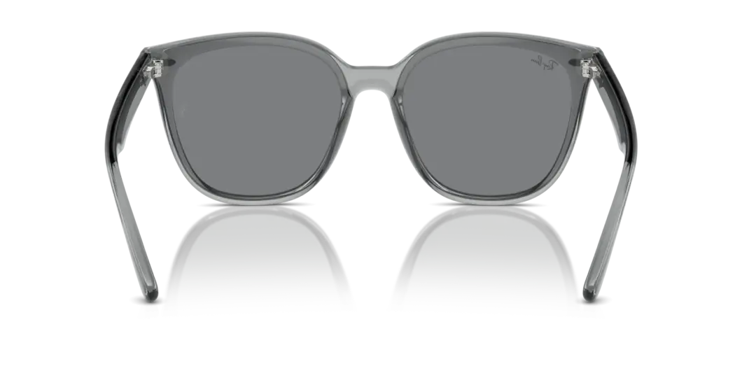 Ray-Ban 0RB4423D 645087