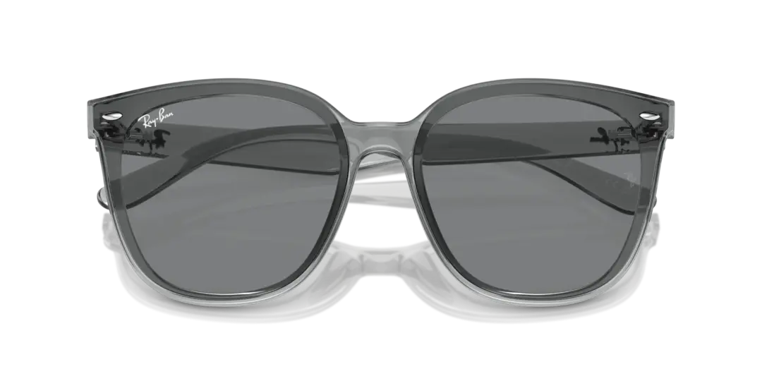 Ray-Ban 0RB4423D 645087