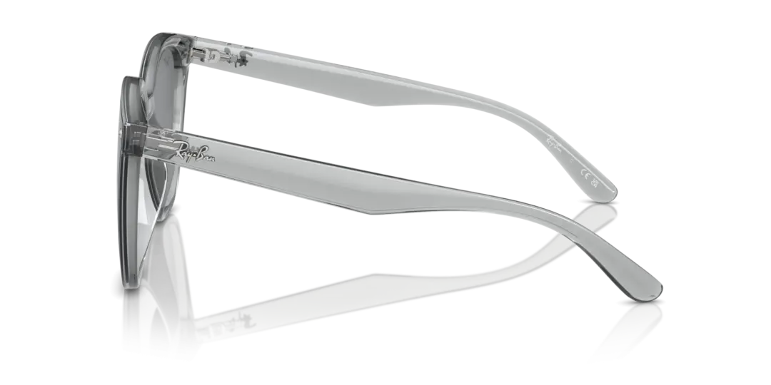 Ray-Ban 0RB4423D 645087