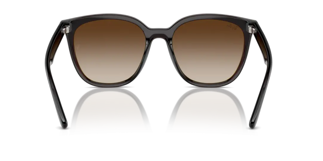 Ray-Ban 0RB4423D 714/13