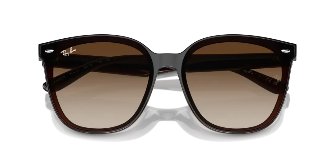 Ray-Ban 0RB4423D 714/13