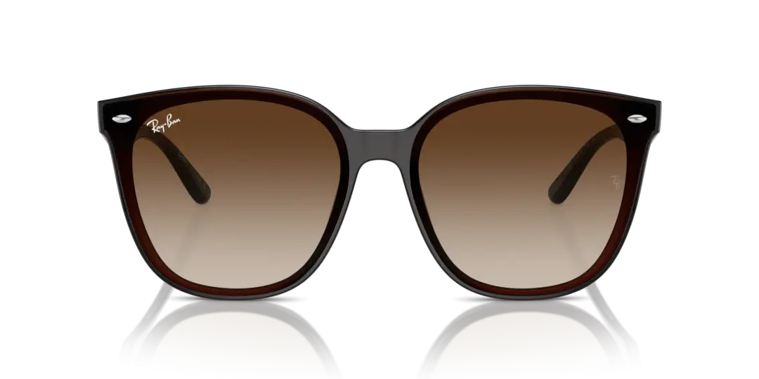 Ray-Ban 0RB4423D 714/13