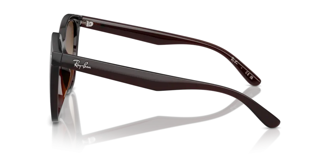 Ray-Ban 0RB4423D 714/13