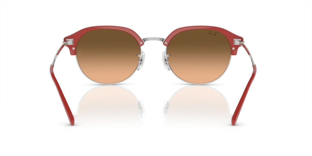 Ray-Ban 0RB4429 67223B