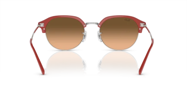 Ray-Ban 0RB4429 67223B