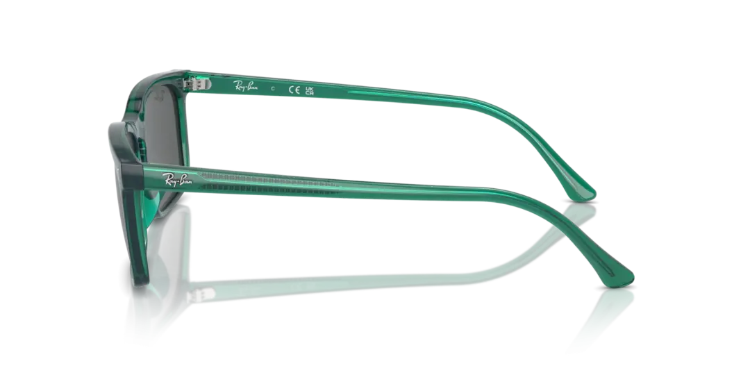 Ray-Ban 0RB4435 6615B1