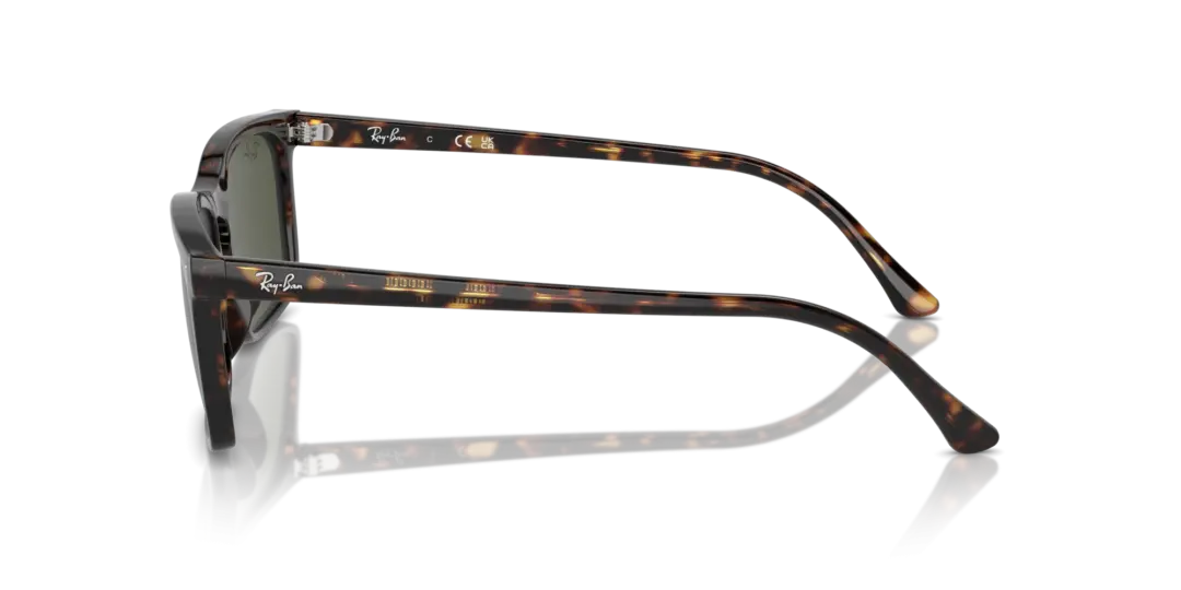 Ray-Ban 0RB4435 902/31