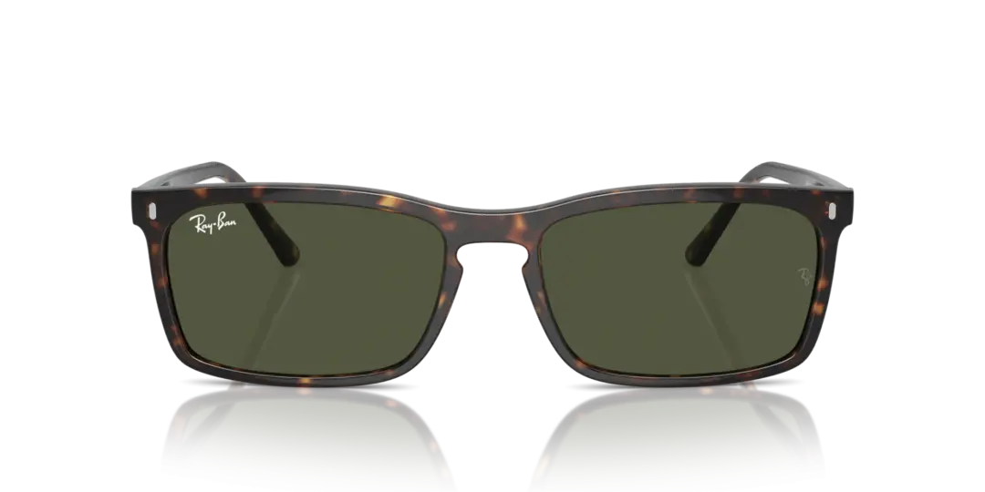 Ray-Ban 0RB4435 902/31