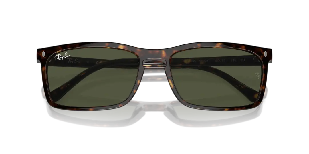 Ray-Ban 0RB4435 902/31