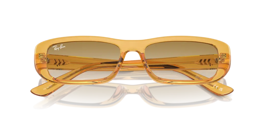 Ray-Ban 0RB4436D 668213