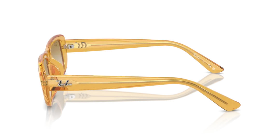 Ray-Ban 0RB4436D 668213