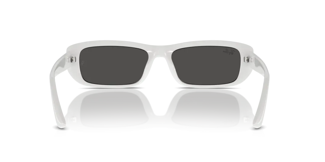 Ray-Ban 0RB4436D 677287