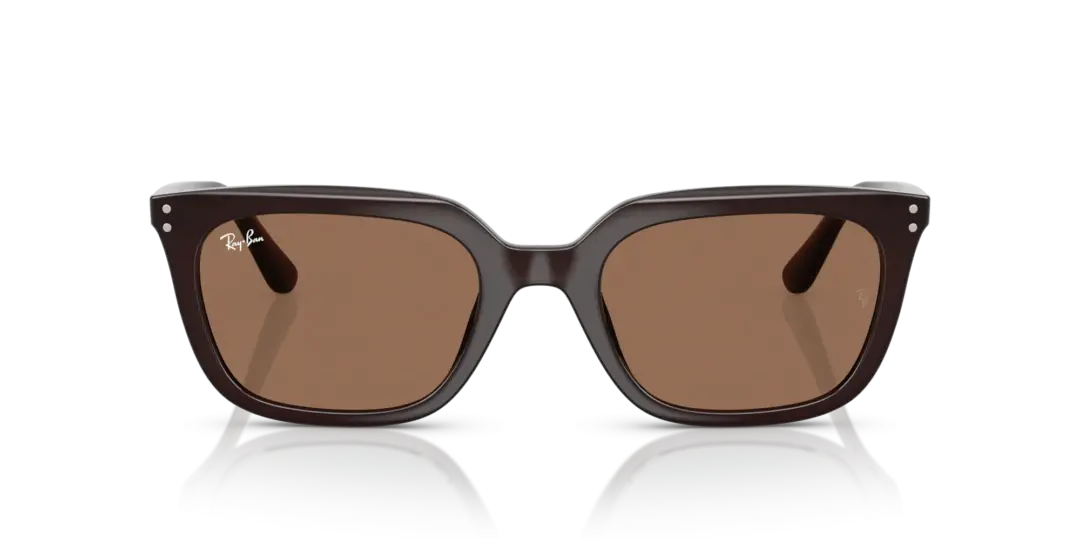 Ray-Ban 0RB4439D 623173