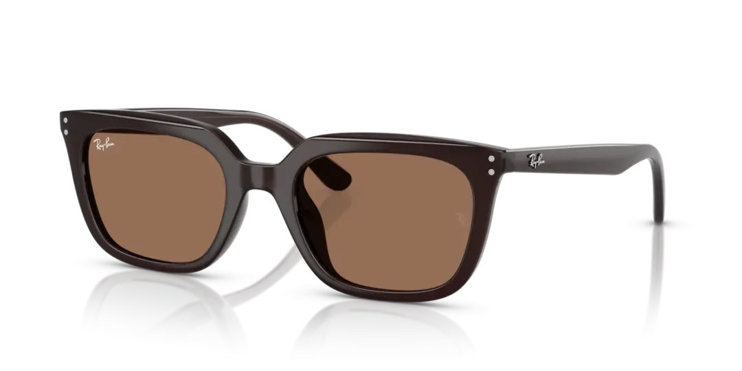Ray-Ban 0RB4439D 623173