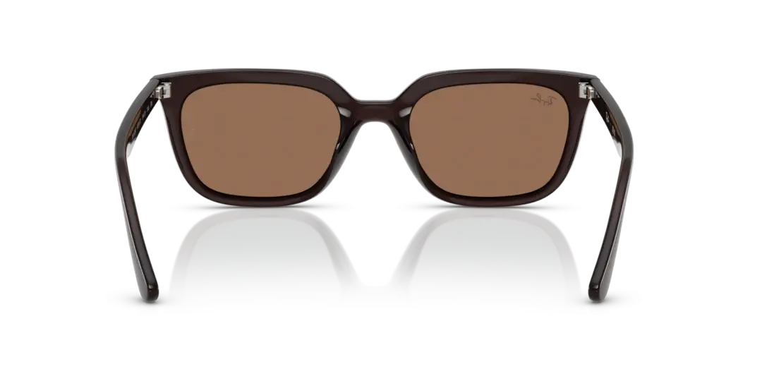 Ray-Ban 0RB4439D 623173