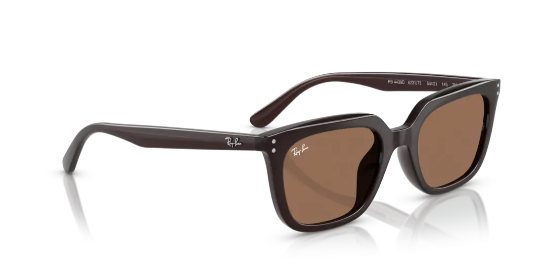 Ray-Ban 0RB4439D 623173