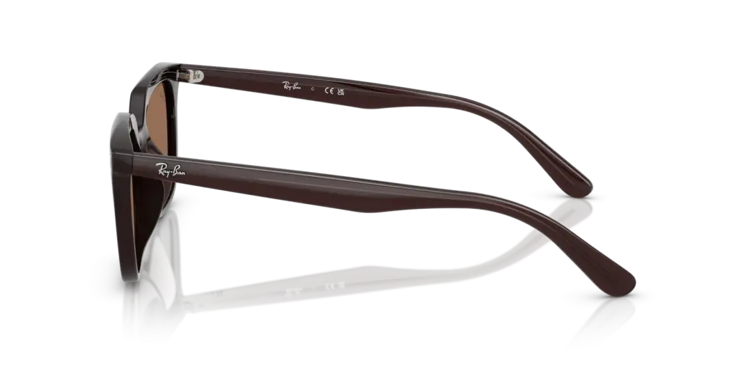 Ray-Ban 0RB4439D 623173