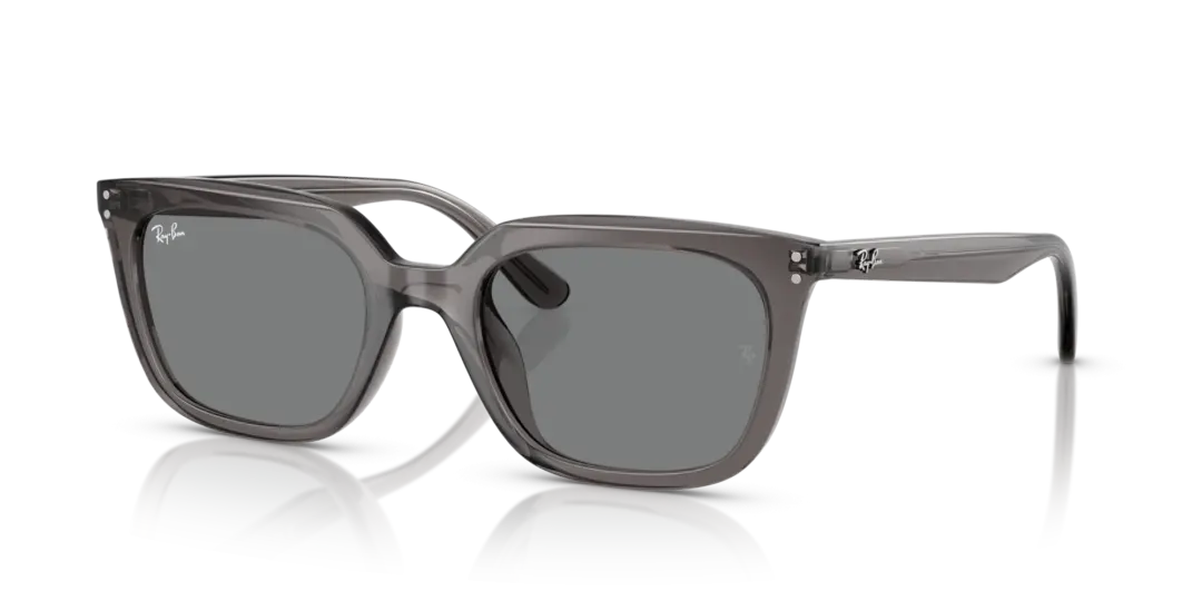 Ray-Ban 0RB4439D 667587